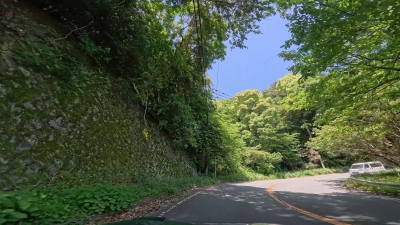頼朝ライン